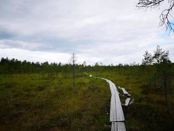 Фото номера Коттедж с 2 спальнями и сауной Дома для отпуска Villa Lotta г. Virttaa 21